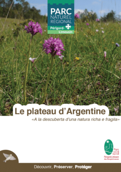 Plateau d'Argentine