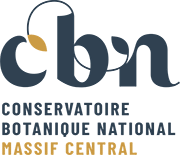 logo cbnmc