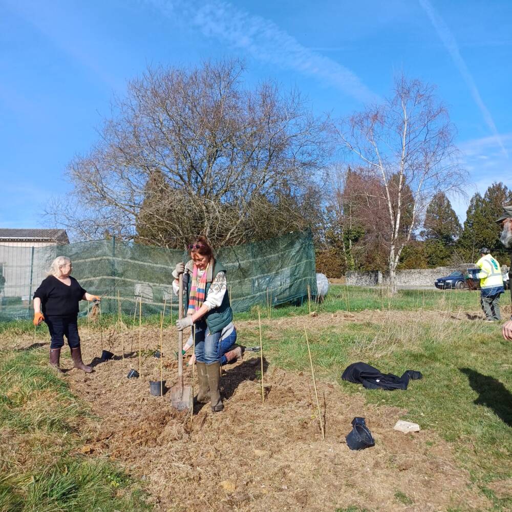 2025.02.15 Wild bees Plantations Maisonnais 1