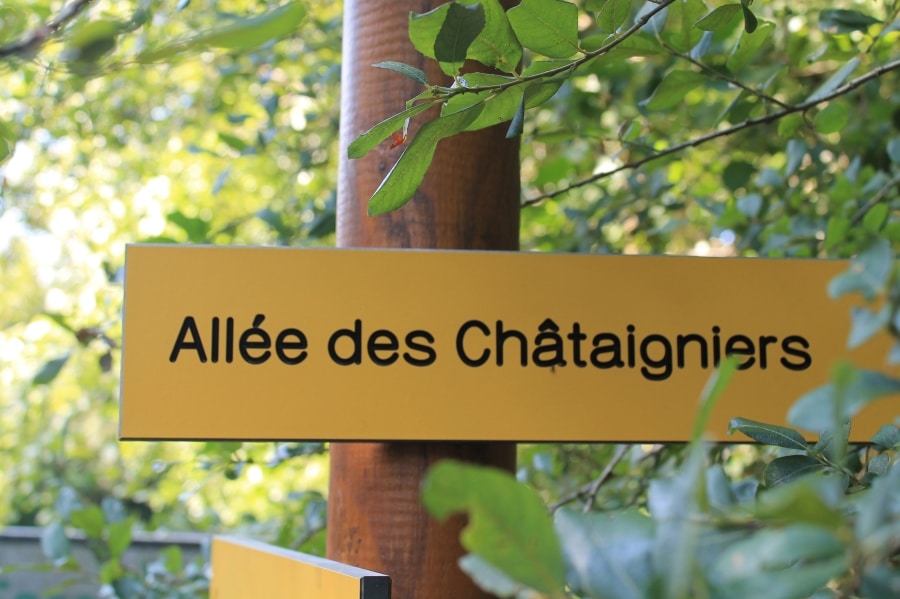 alleechataigniers